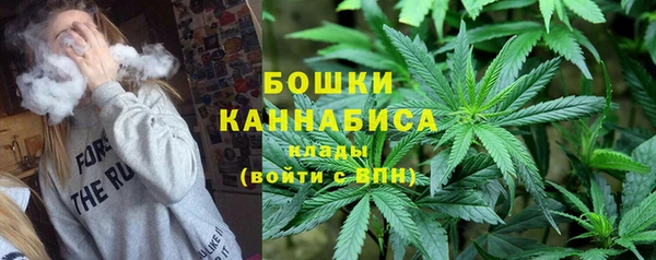 бошки Алексин