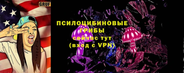 бошки Алексин