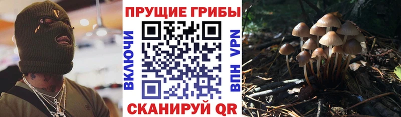 mega ТОР  Обнинск  Галлюциногенные грибы ЛСД 